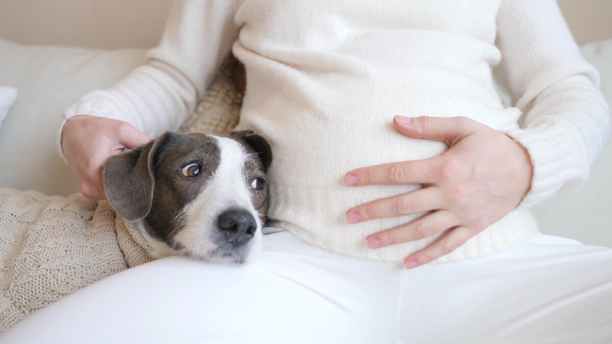 Spüren Haustiere die Schwangerschaft?